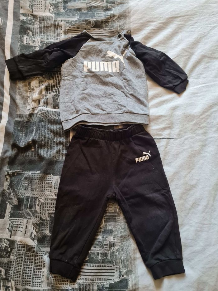 Ensemble puma