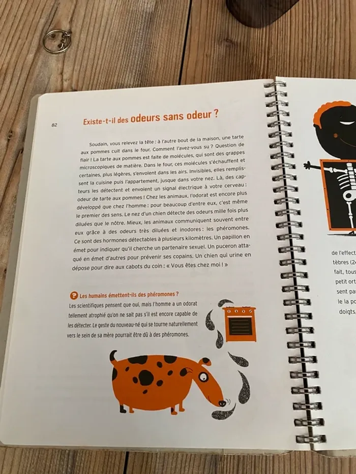 Livre Toutes les réponses aux questions que vous ne vous êtes jamais posées - photo numéro 5
