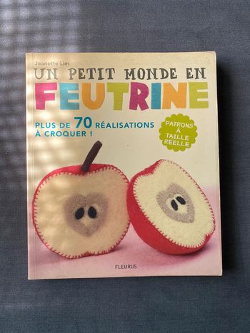 Un petit monde en feutrine Jeanette Lim Fleurus