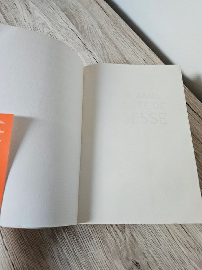 Livre Trois Amis en Quête de Sagesse - photo numéro 3