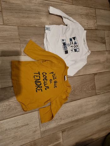 Lot de 2 t-shirts manches longues 9 mois