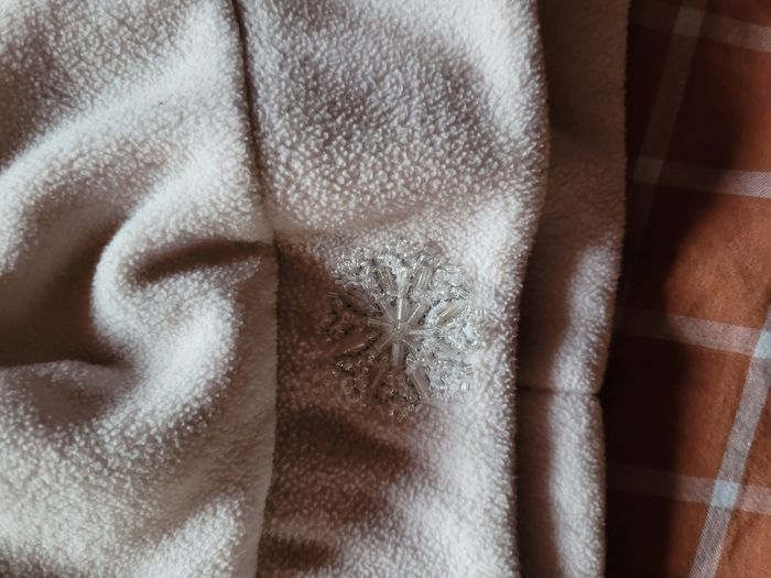 Bonnet - photo numéro 2