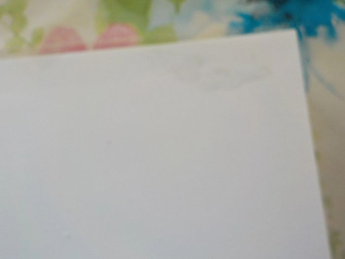 Mon Seigneur & Maître par Tehmina Durrani Ed. France Loisirs - photo numéro 7