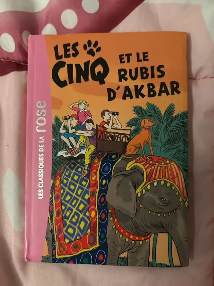 Livre la bibliothèque, rose les cinq et le rubis d’akbar