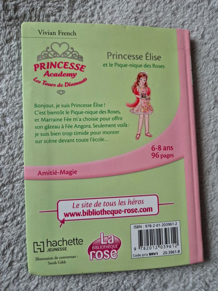 Livre princesse academy - photo numéro 3