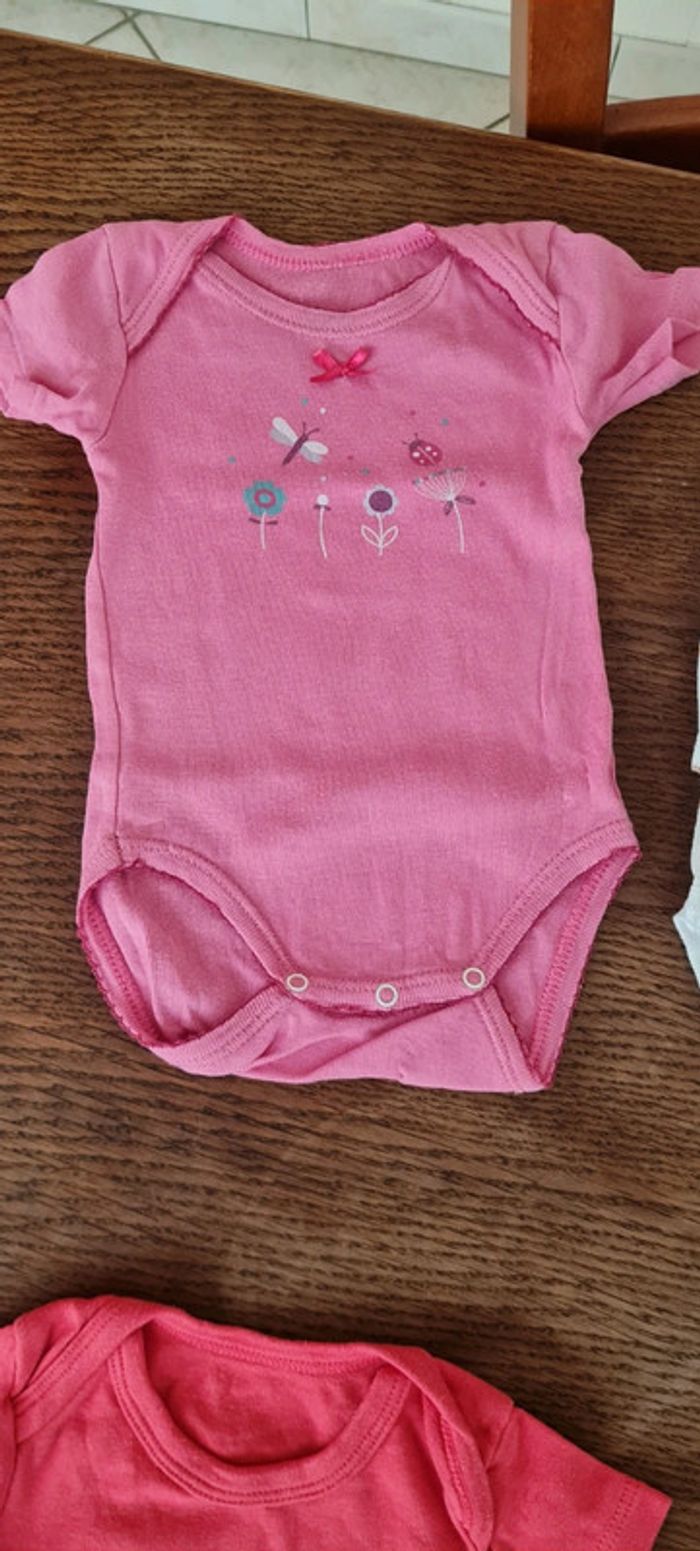 Lot 4 bodys 6mois - photo numéro 6
