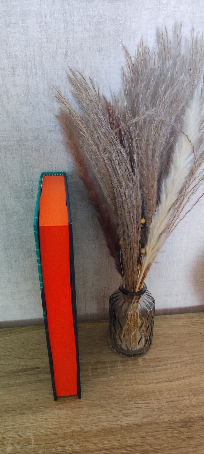 Un meurtre absolument splendide - photo numéro 3