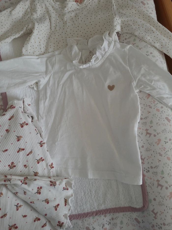 Lot 3 Tee-shirts manches longues 9 mois - photo numéro 3