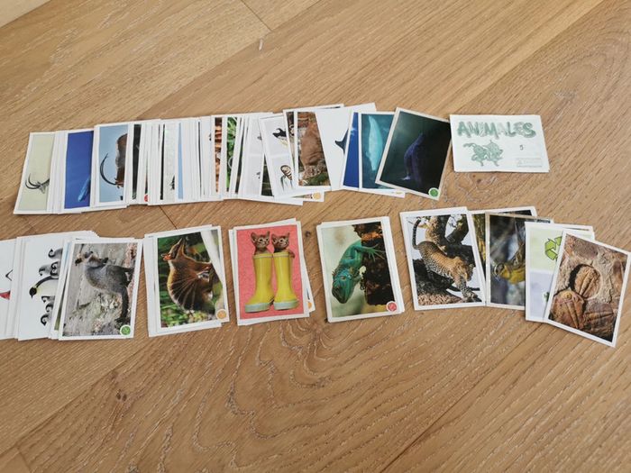 108 Stickers panini animaux