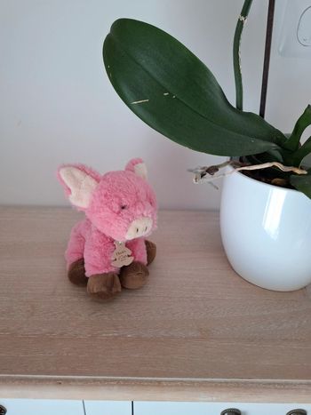 Peluche