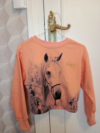 Pull thème équitation 