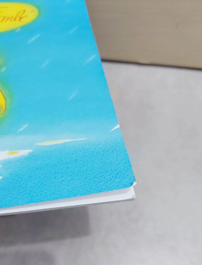 🌺 Livre (école des loisirs) : Soleil tombé - photo numéro 6