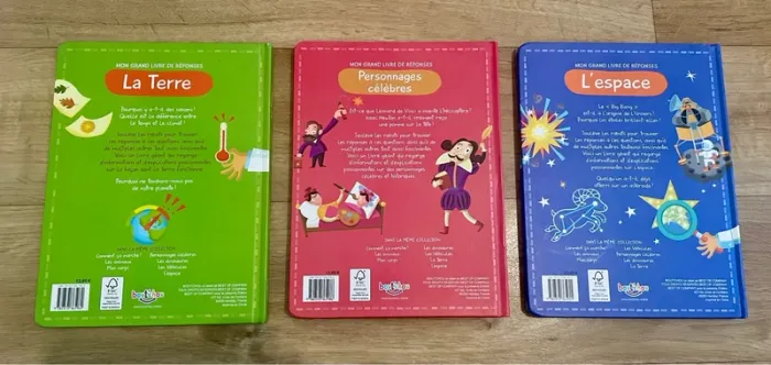 Mon grand livre de réponse - photo numéro 2