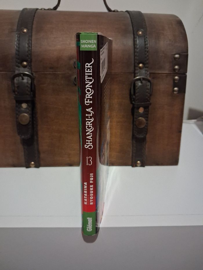 Manga Shangri La Frontier tome 13 collector jaquette alternative Fnac édition limitée - photo numéro 4