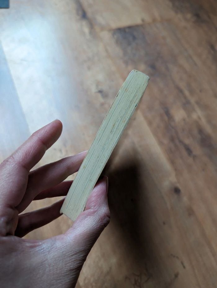 Livre dragonball pastel n°3 - photo numéro 3