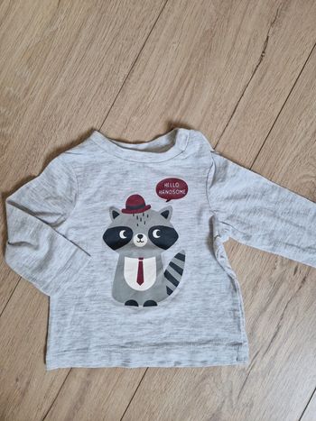 T-shirt Raton laveur