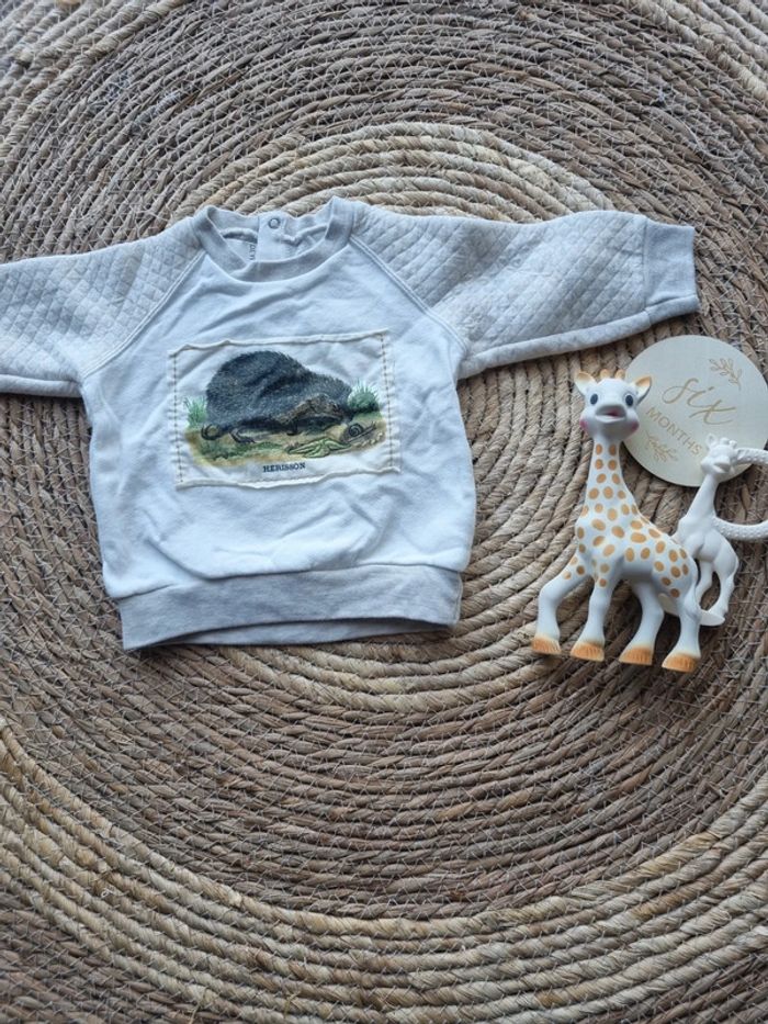 Sweats petit bateau