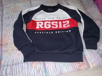 Sweat molletonné rg512
