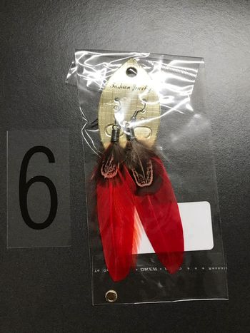 Boucles d'oreilles plumes sioux