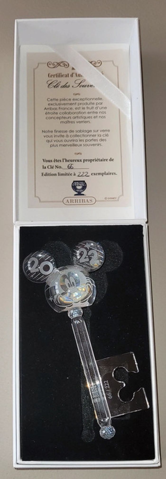 Cle llave key arribas mickey 2022 disney - photo numéro 3