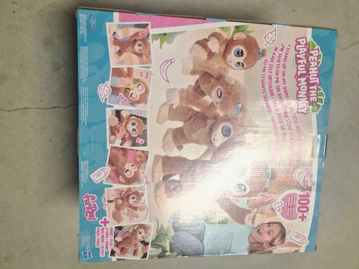 Singe interactif - photo numéro 4