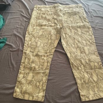 Pantalon style crocodile