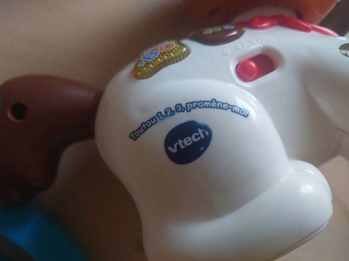 Chien à promener - photo numéro 4