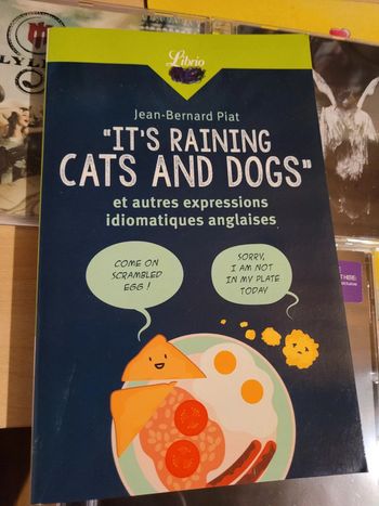 Livre Anglais It's raining cats and dogs