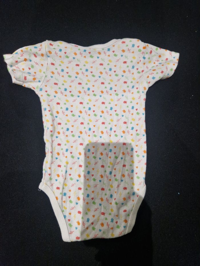 Body 12 M - photo numéro 2