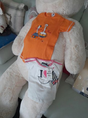 Lot grenouillère et tee shirt neuf