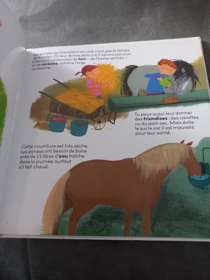 Livre mes p'tites questions milan les poneys - photo numéro 3