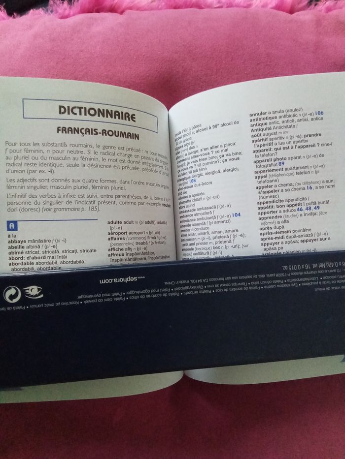 Parler le roumain en voyage - photo numéro 3