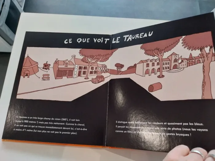 Badaboum - photo numéro 4