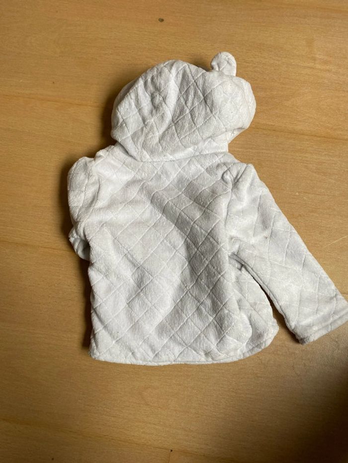 Ensemble koala - photo numéro 12