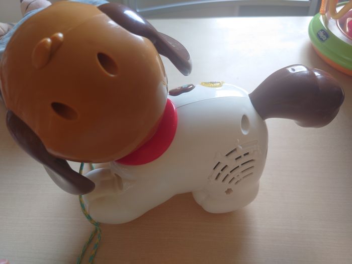 Chien à promener - photo numéro 2