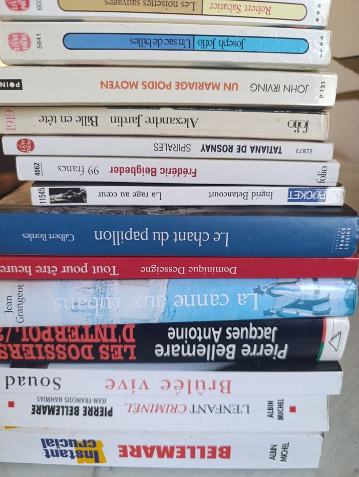 Lot de 14 romans litterature classique - photo numéro 5