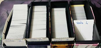 Énorme lot de 1 860 cartes Pokémon Reverses & Holos