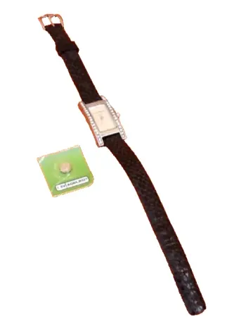 Montre femme Yves Bertelin WC17142 Boitier rectangulaire serti de zirconium