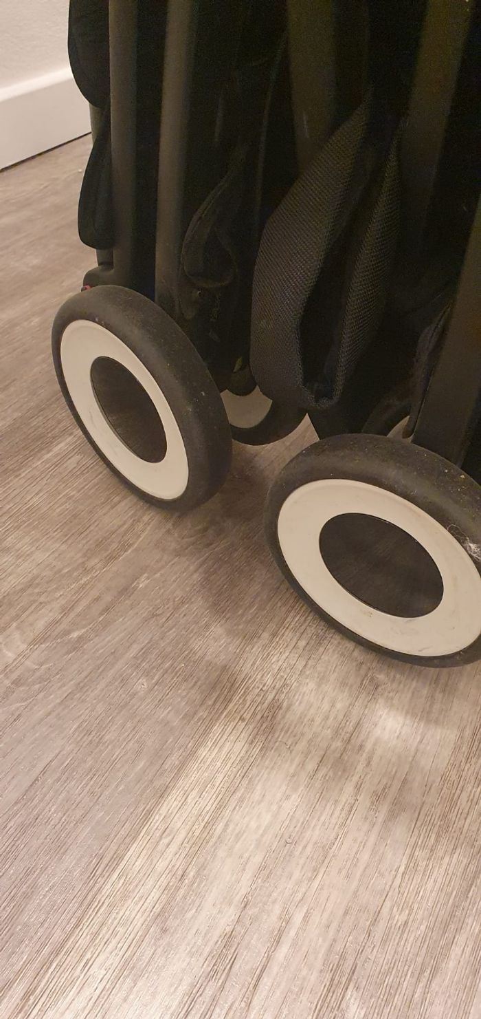 Libelle - photo numéro 5