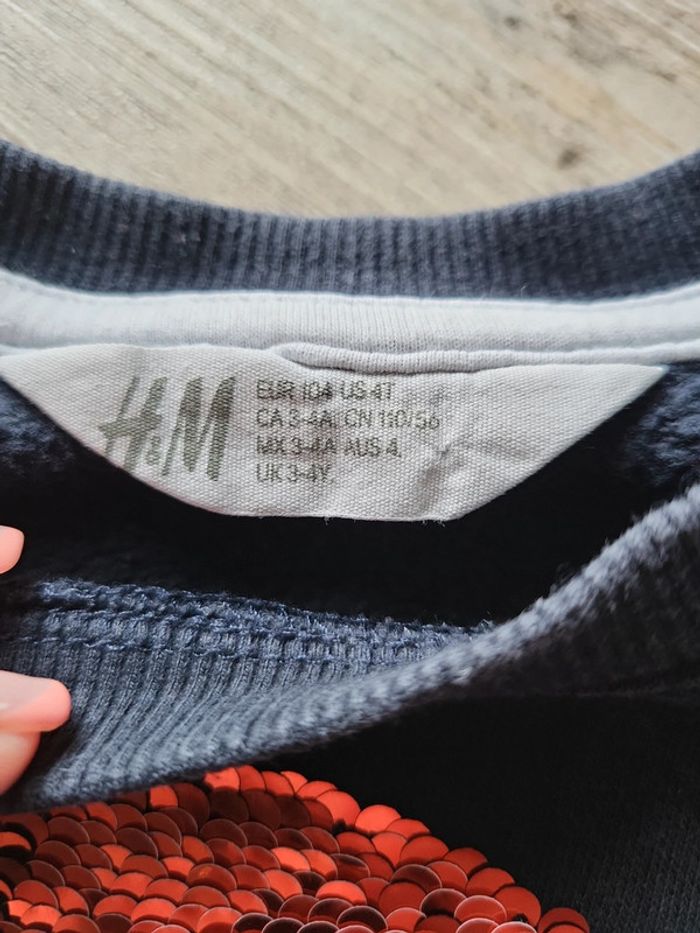 Pull garçon H&M 3/4 ans - photo numéro 2