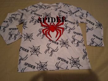 Tee-shirt spiderman