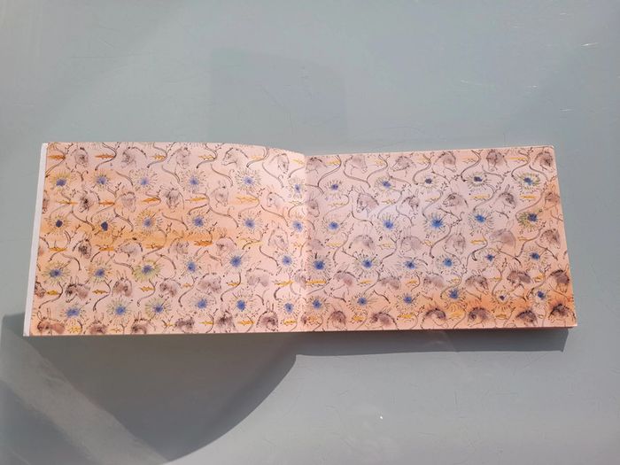 Livre couverture souple l'école des loisirs : Histoire d'Edouard, Philippe Dumas (58) - photo numéro 3