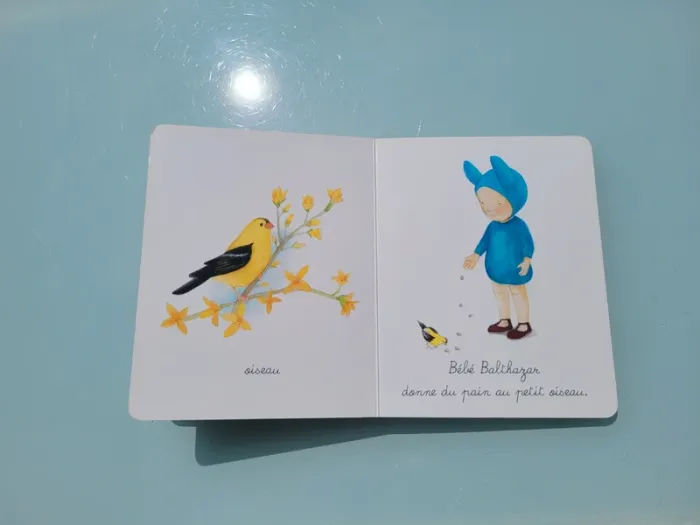 Bébé Balthazar 🍏 Mon tout Premier imagier Montessori 🧸 - photo numéro 7
