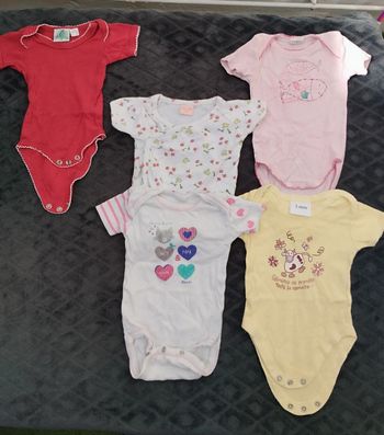 Lot bodies manches courtes