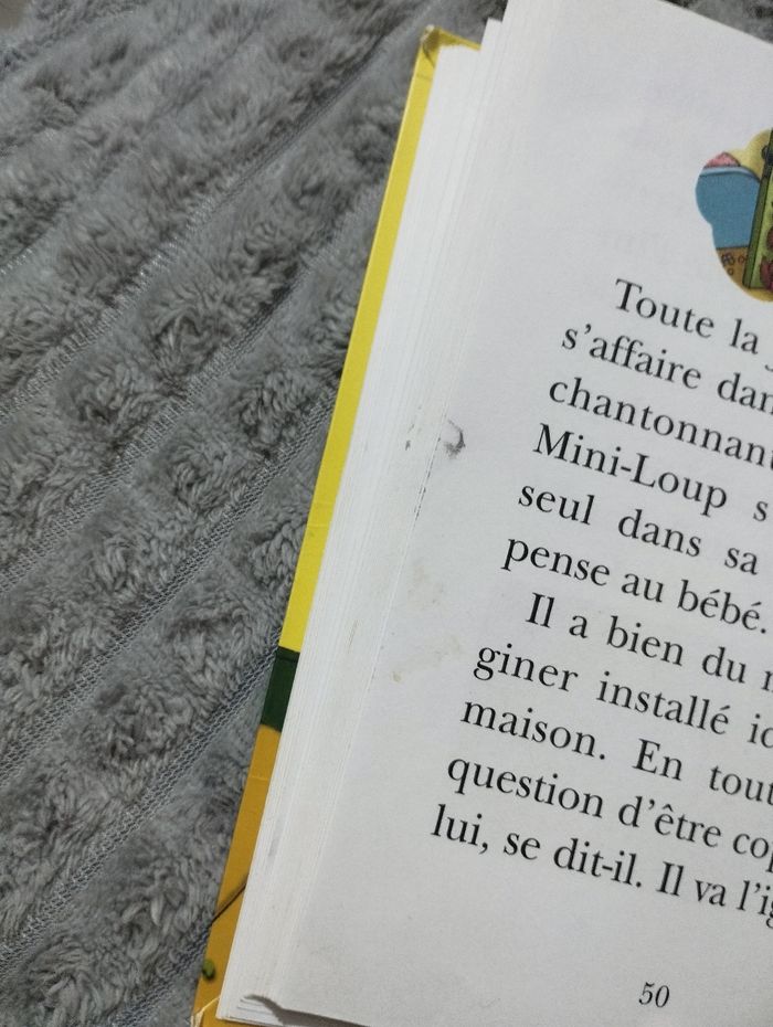 Livre mini loup et sa petite sœur - photo numéro 5