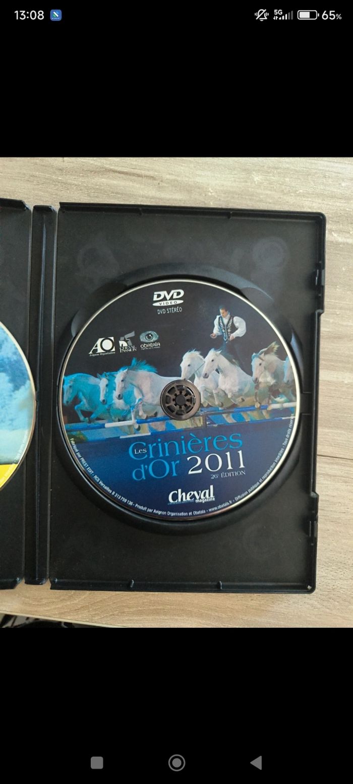 DVD les crinière d'or sans boîte d'origine - photo numéro 3