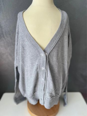 Gilet gris