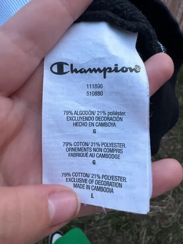 Pull / sweat a capuche champion bicolor - photo numéro 5