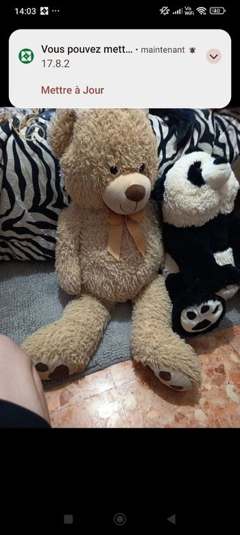 Énorme peluches deux grandes peluches donc une énorme ourson. 