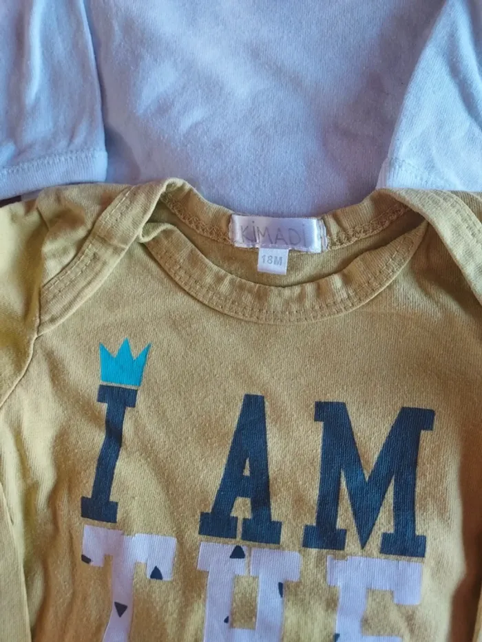 lot 4 bodies mixte 18 mois - photo numéro 2